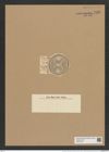 Auliscus elegans var. grunowii (A. Schm.) Rattr. (de-Toni-Nr.: Genus 171, Species 4330) Zeichnungen Sammlung Grunow Nr. 7899 (NHMW-BOT-W0377168)